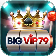 VNBig79